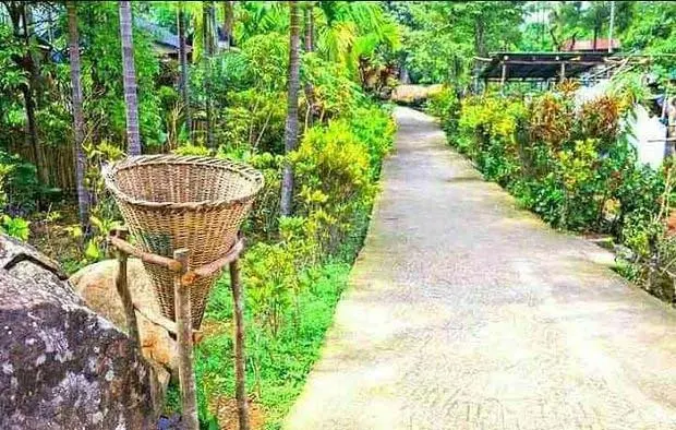 cleanest-village-of-india
