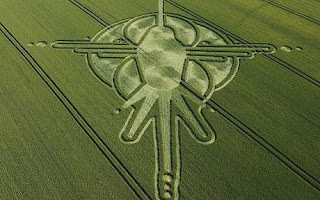 crop circles 2013