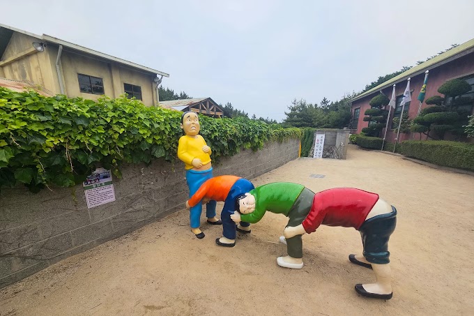 울산 여행 6월 가볼만한곳 장생포고래문화마을 feat 입장료 주차