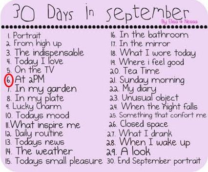 Day6