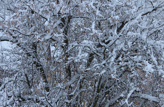 Mera snö 002