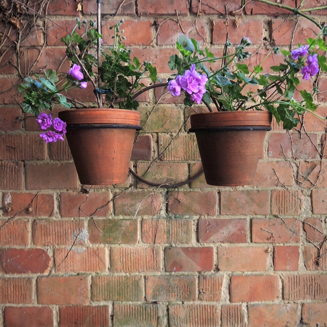 In mijn tuintjes: Meimaand bloemenmaand