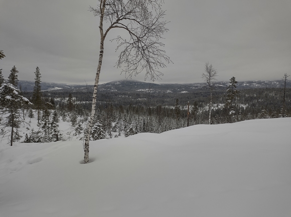 gulsvik hallingdal