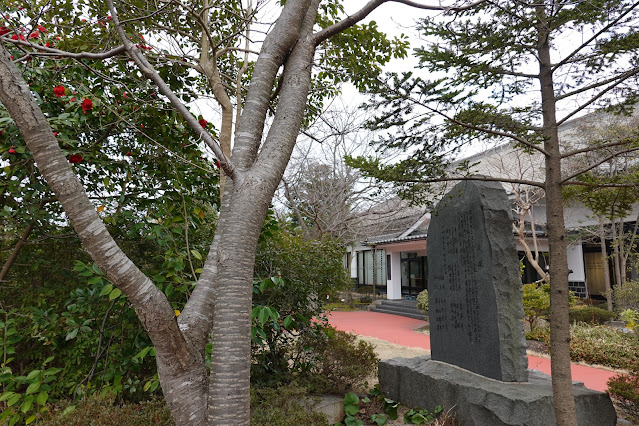 鳥取県米子市大篠津町 アジア博物館・井上靖記念館 八重椿