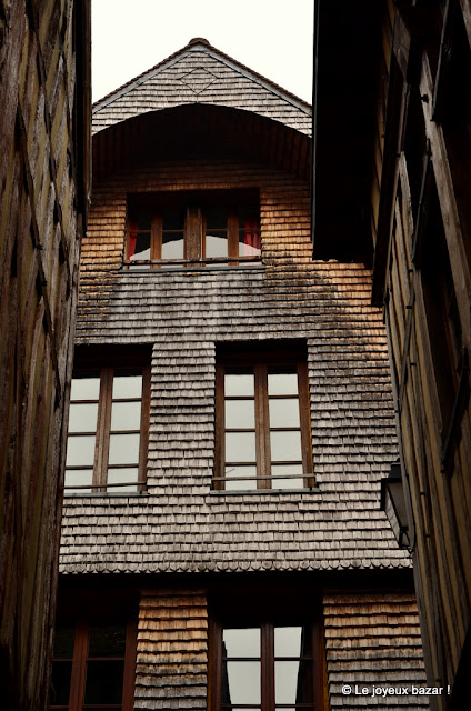 Troyes - centre historiques- écailles de bois