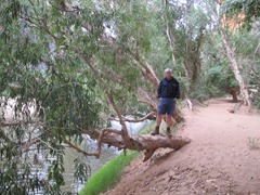 2010.08.01 at 17h05m52s Windjana Gorge