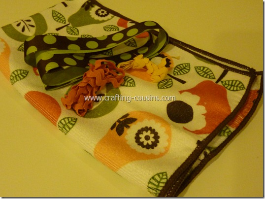 Hand Towel Apron (2)