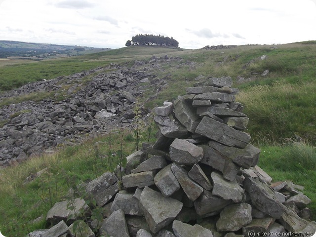 kirkcarrion