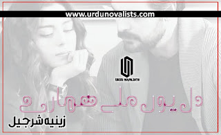 Dil Yun Mily Hmaray Urdu Novel By Zeenia Sharjeel