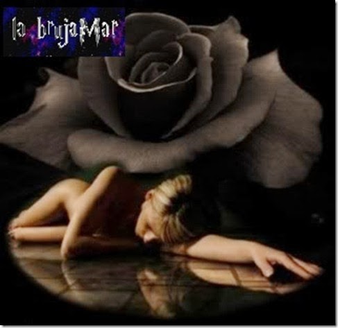 CqdM2014goticflower101