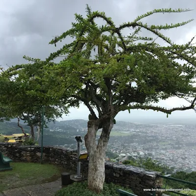 view from Fort George in Port of Spain, Trinidad