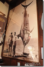 Key West 2010 (174)