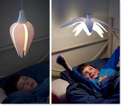 invento 7