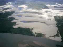 Delta do Rio Parnaiba Piauí Brasil