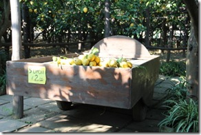 Lemon Grove