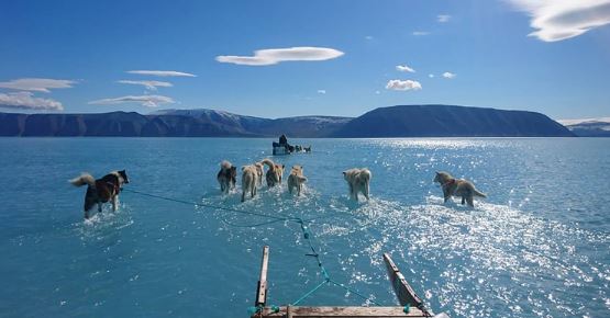 MUNDO: Cambio climático está generando máxima alerta en zonas de nieves en Groenlandia. 