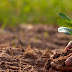 মৃত্তিকা সংরক্ষণ (Soil Conservation) কাকে বলে? মৃত্তিকা সংরক্ষণের বিভিন্ন পদ্ধতি 