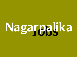 Modasa Nagarpalika Recruitment for MIS/ IT Expert Post 2018