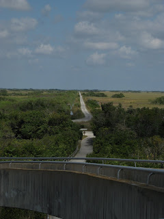 View of the trail from the watchtower