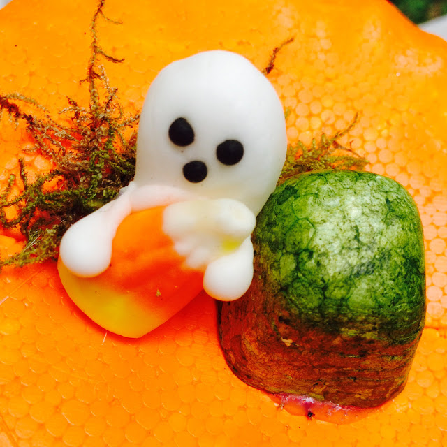 Pumpkin Fairy Garden for Halloween | Linzer Lane Blog