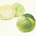 Ulcer Natural Cure - Cabbage Juice Cure Ulcer