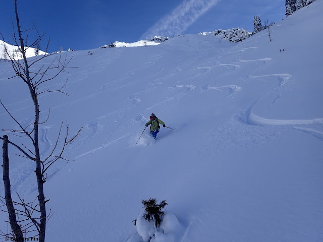 Toller Pulverschnee in den Westlichen Kitzbüheler Alpen (Foto: 28.02.2023)