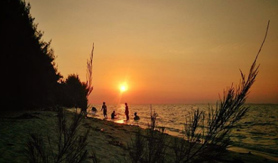Pulau Tikus