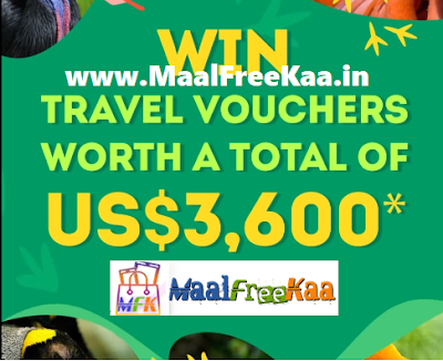 What Bird Are You Win Travel Vouchers $3600