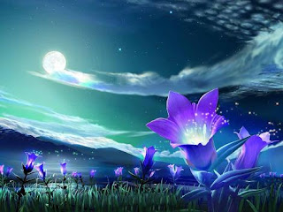 3D Beautiful Night Sky HD Wallpapers Free Download