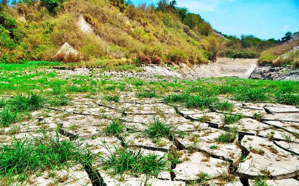 為重現「夢幻湖」美景｜牛埔農塘清淤放流一片乾涸｜暫時不見夢幻景色