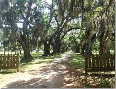 Evergreen Plantation (2)