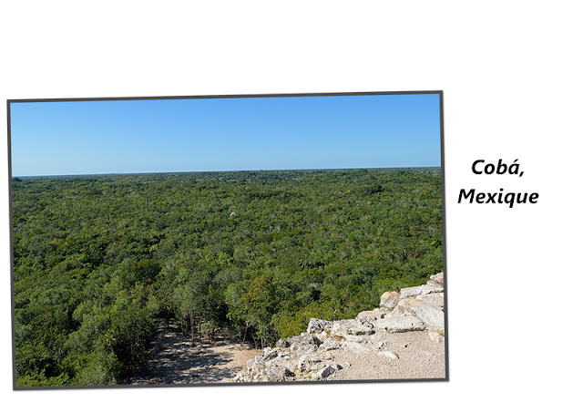 Cobá au Mexique