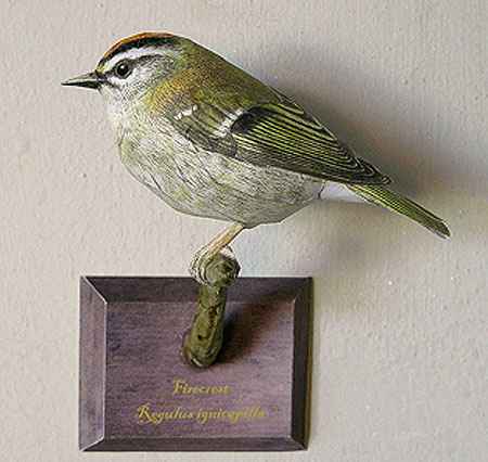 Firecrest Papercraft