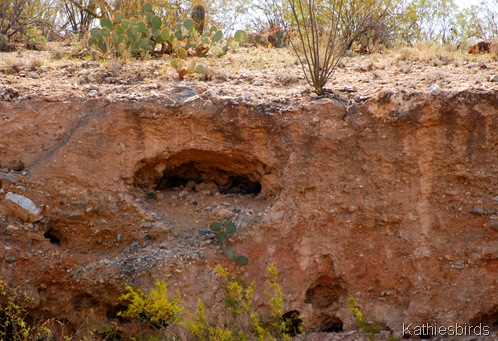 6. cliffside-kab