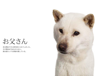 √ダウンロード お父さん 犬 cm 218739