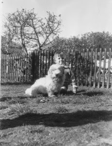 50s Tim in Fareham