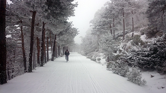 Ruta de Cercedilla a Segovia ¡con nieve!