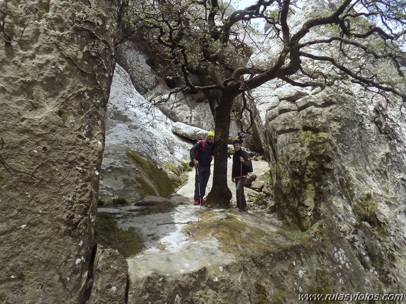 San Carlos del Tiradero - Canuto del Risco Blanco - Cruz del Romero - Arco del Niño