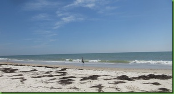 IMG_1525_thumb