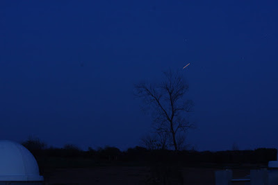 Mars trailing up, above tree, from CAO grounds