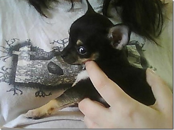 Picture0099
