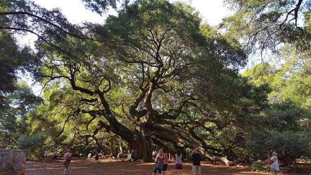 South Carolina