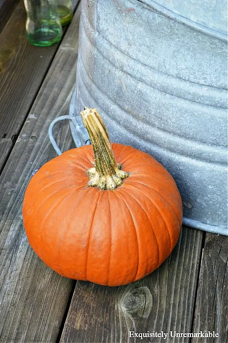 What To Do With Leftover Halloween Pumpkins