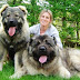 10 Of The World’s Largest Dog Breeds You’d Wish You Own