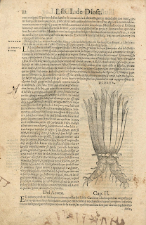 "Libro primero de Pedacio Dioscorides Anazarbeo, acerca de la materia medicinal, traducido de lengua griega en la vulgar castellana, et illustrado con suscintas annotationes por el Doctor Andres de Laguna medico de Iulio III Pont. Max."