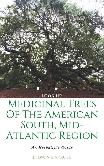 The Medicinal Trees of the American South, An Herbalist's Guide