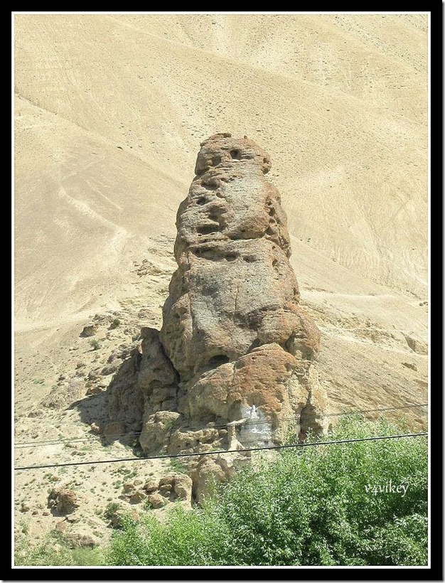 leh ladakh (51)