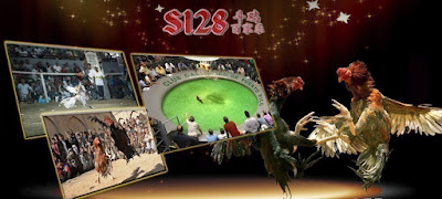 Daftar Akun Sv388 • Sv388 Login • Adu Ayam Pw • Judi Sv288