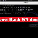 Sadap Wa Dengan Termux