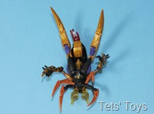 Blackarachnia (19)